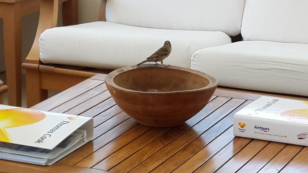 بيتيس Meis Hotel الغرفة الصورة